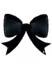BLACK BOW 41' pkg