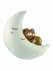 BEAR MOON PACKED